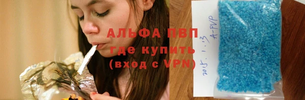 спиды Верея