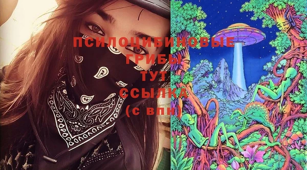 спиды Верея
